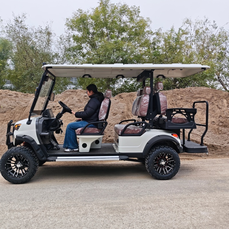 Electric Classic Buggy Utility Electric Club Car with Cargo Box for Golf Courses 6 Seater Street Legal Golf Cart
