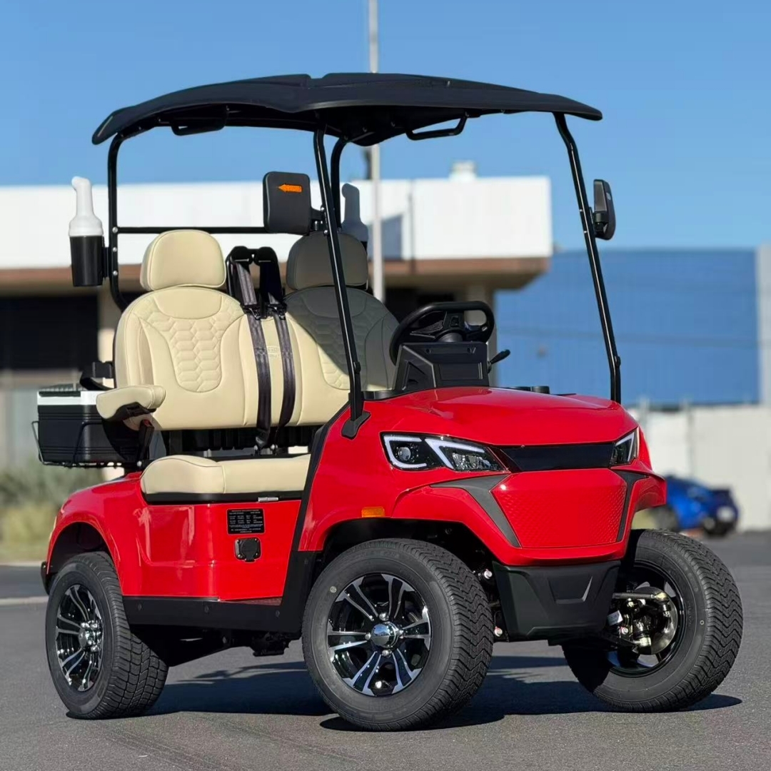 Electric Golf Cart 2 Seater for Campus Shuttle Resort Transportation and Private Community