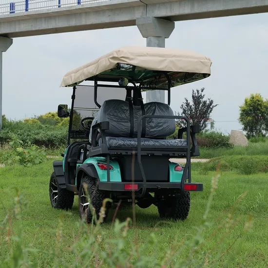 New customizable Chinese-made electric golf cart