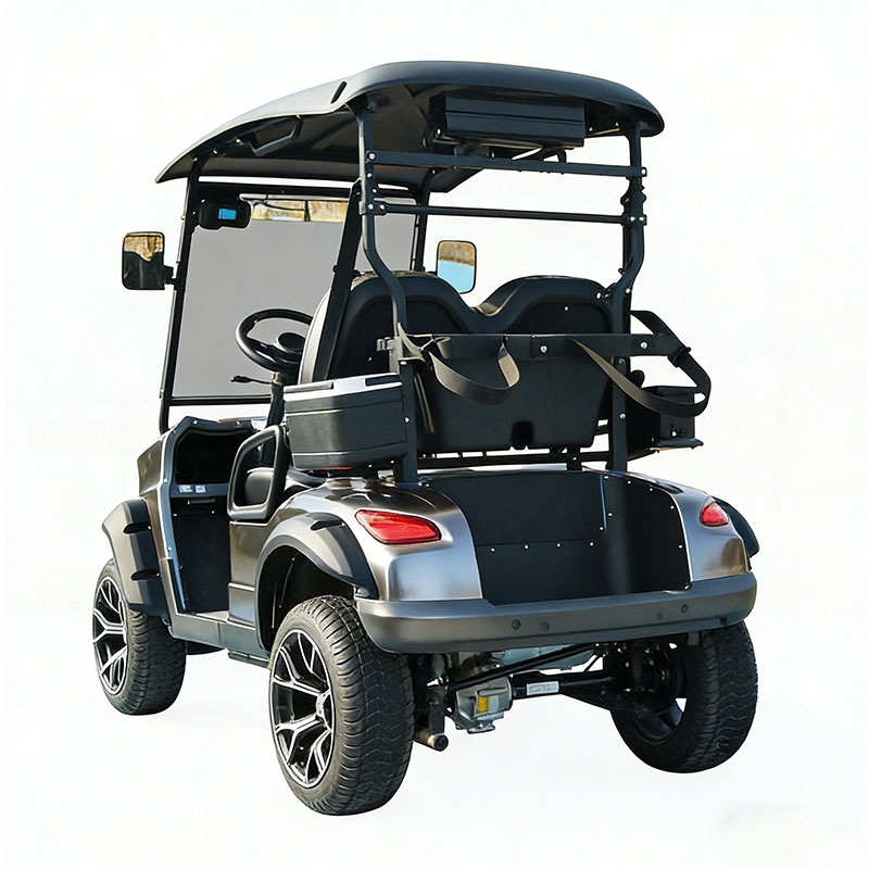 Eco Friendly 2 Seater Electric Golf Cart Manufacture for Campus and Resort Use