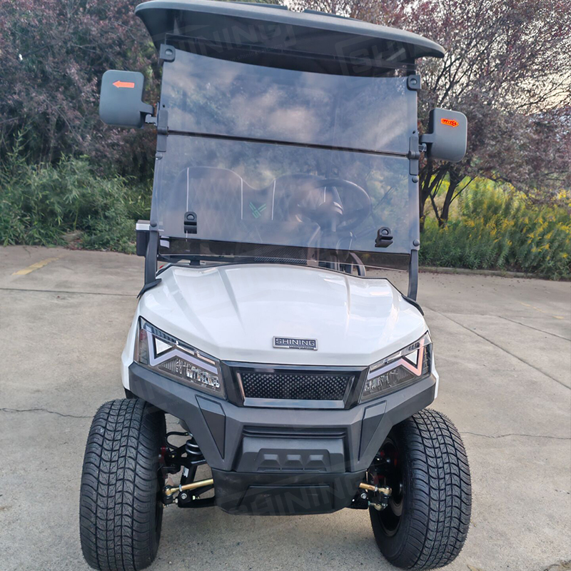 Shininglsv Electric 2-Seater Golf Carts Electric Lithium Electric Golf Cart for Sale