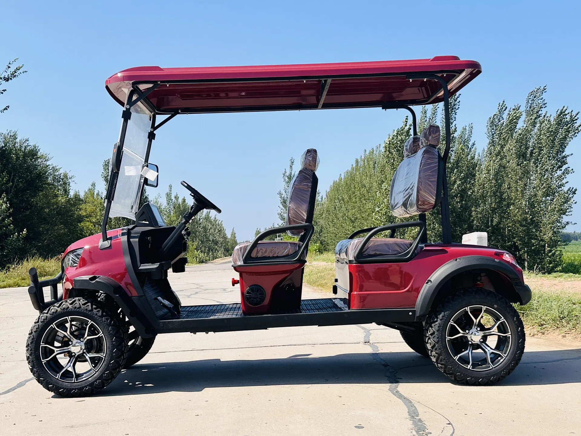Golf Cart View 1