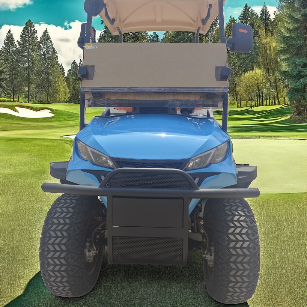 Custom 2-Seater Luxury Off-Road Electric Golf Cart with 48V Battery and Cheap Parts Including Off-Road Tire