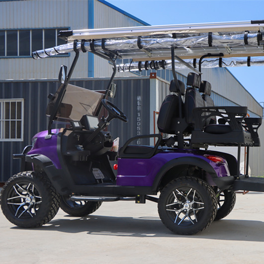 Solar Panels Golf Cart Customization Factory Direct Saleupgrade Golf Buggy Electric Golf Cart