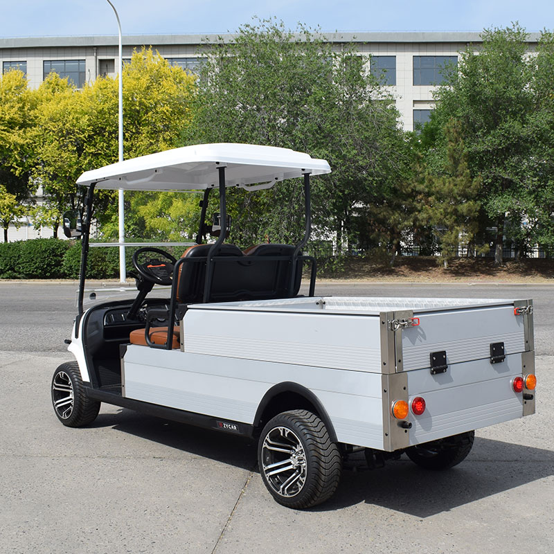 2 Seat Electric Golf Car Hotel 48v Cheap Golf Cart With Cargo Box