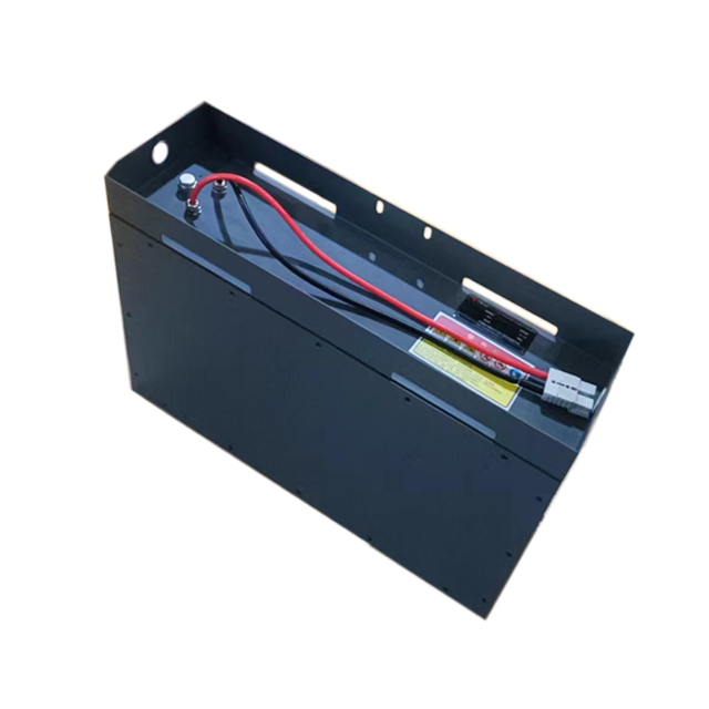 High Recycle 12V 24V 48V 100Ah 200Ah 300Ah Prismatic RV Golf Carts Battery LiFePO4 Lithium Ion Phosphate Qianhang 5000 Cycles