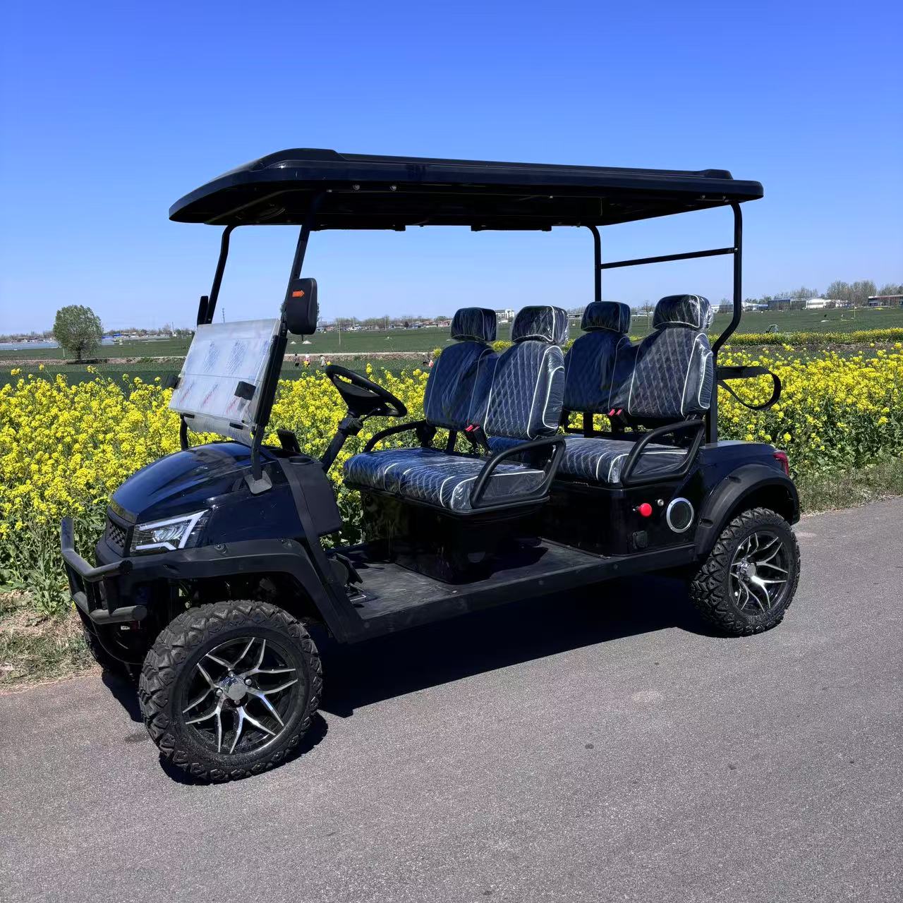 Custom Luxury Star Golf Cart 300km Driving Range Golf Cart