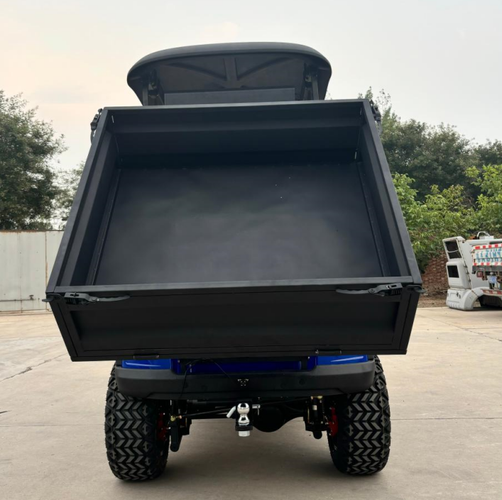 Sharefer Classic Electric Utility Buggy Electric Club Cargo Box Golf Cart for Sale