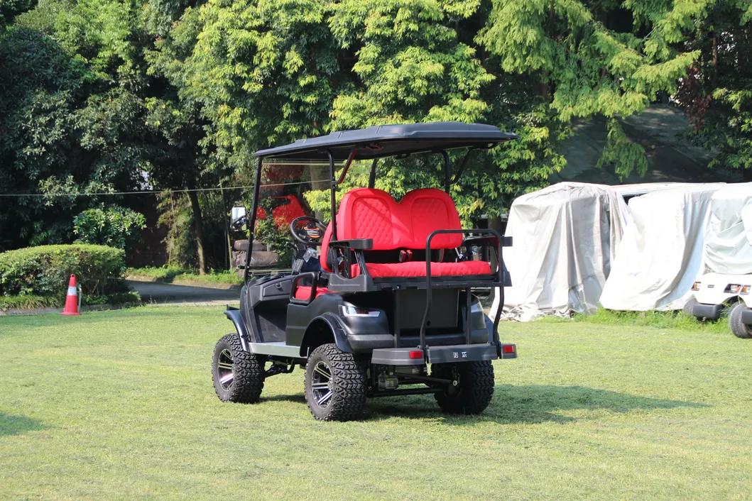Vehicle View 5
