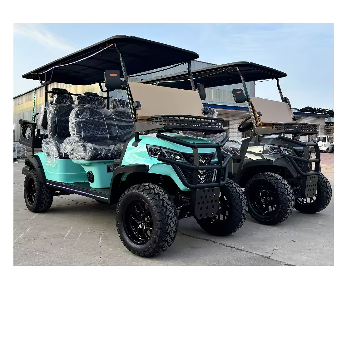 Electric and Gasoline 2+2 Golf Cart