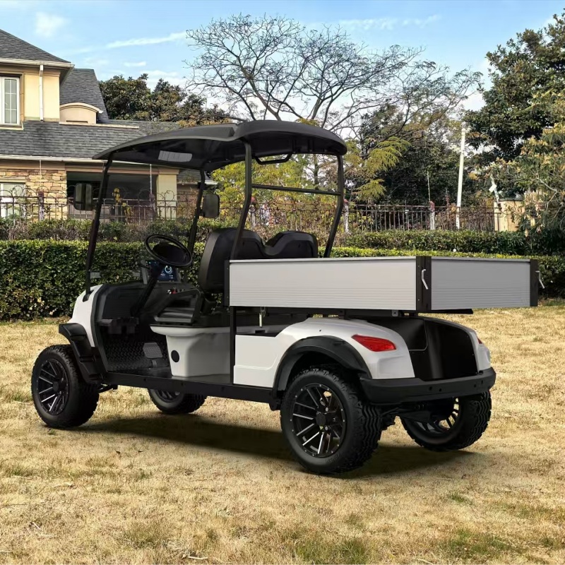Electric Utility Vehicle Suspensions Detail