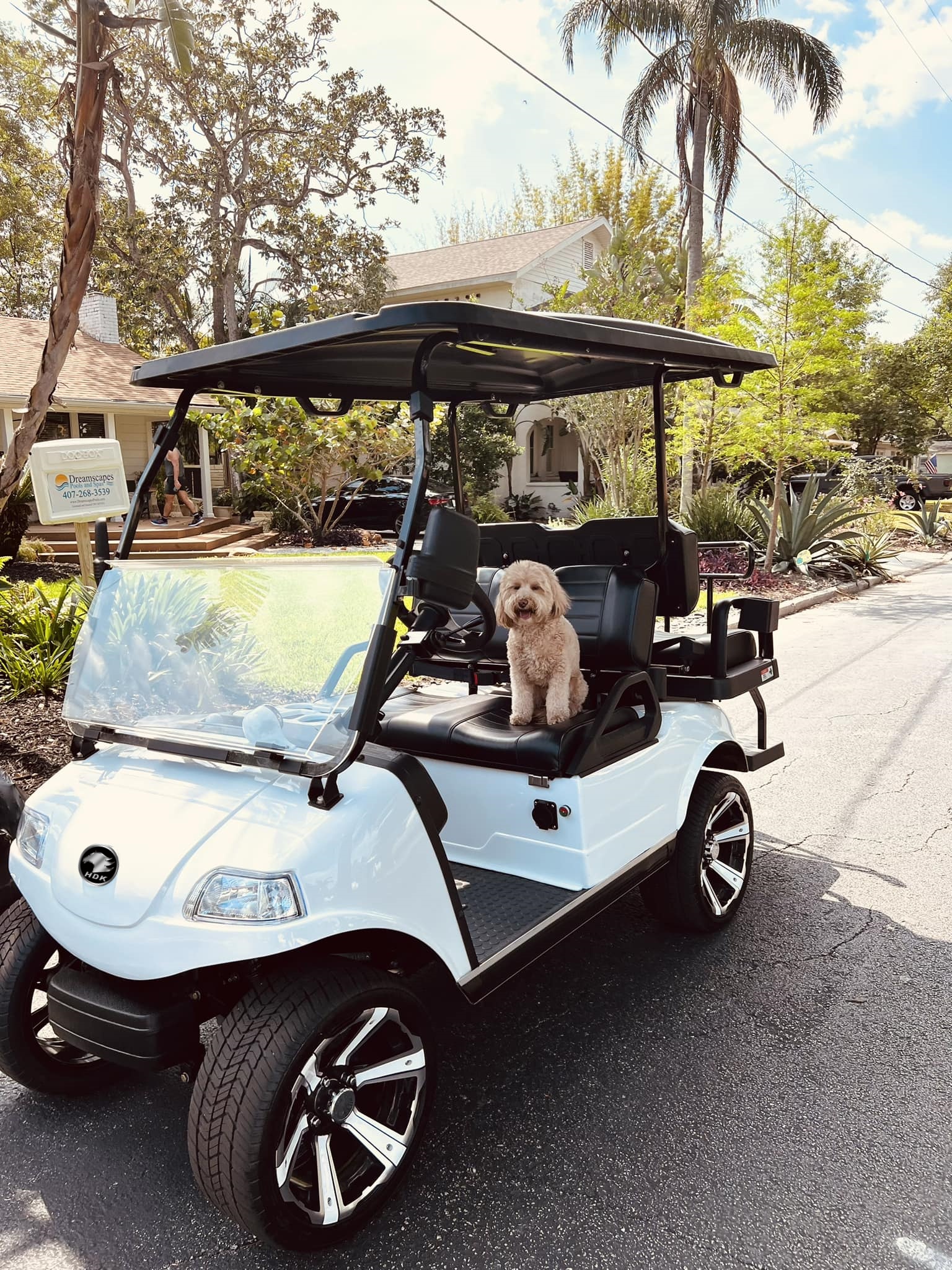New Hot Selling Big Scooters 4 Seats Off-road Buggy for Sale HDK EVOLUTION Electric Golf Cart