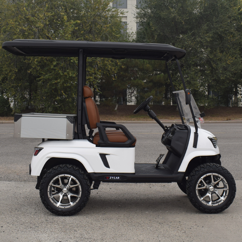 Golf Cart Electric 2 Seater Price Chinese Electric Golf Carts for Sale Passenger Golf Carts