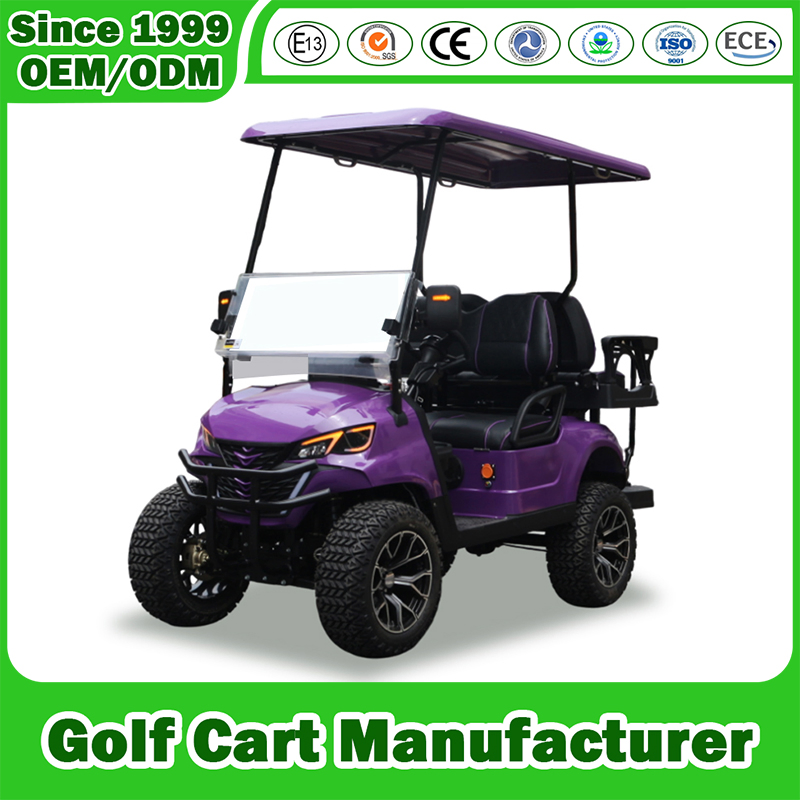 Golf Cart Factory 2/4/6 Seater 2+2 Seat Forward Facing 48V/60V Lithium Battery Utility Shopping Club Vehicle Car Golf Cart for Community Patrol and Management