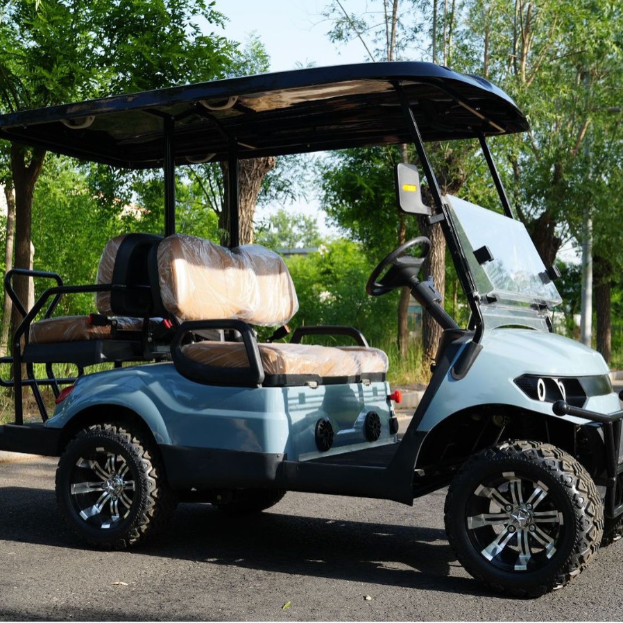 Golf Cart Source Factory Scenic Park Campus Airport Patrol Tour Off-road Electric Golf Sightseeing Car 2 Seats