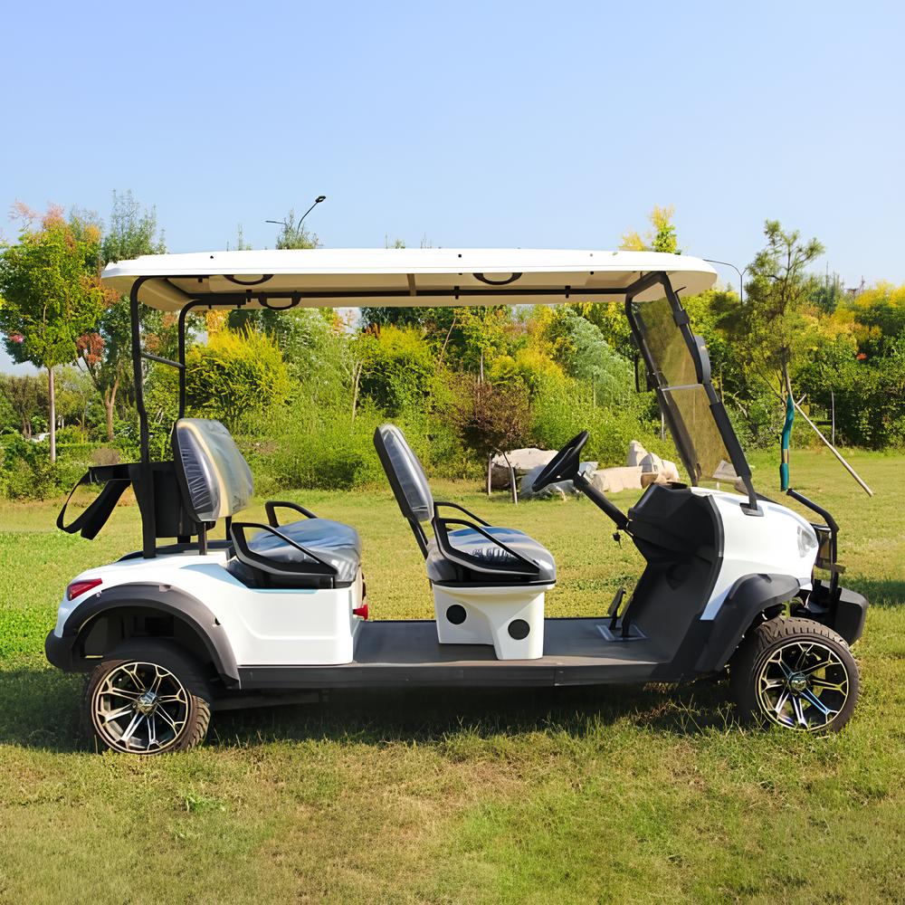 Chinese Electric Golf Carts Cheap Prices Vintage Buggy Car for Sale Club Street Legal Pakistan 5 with Solar Panel Golf Cart