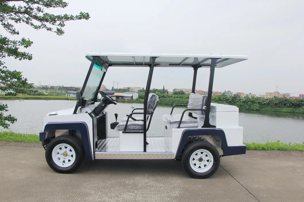Electric Golf Cart Front View
