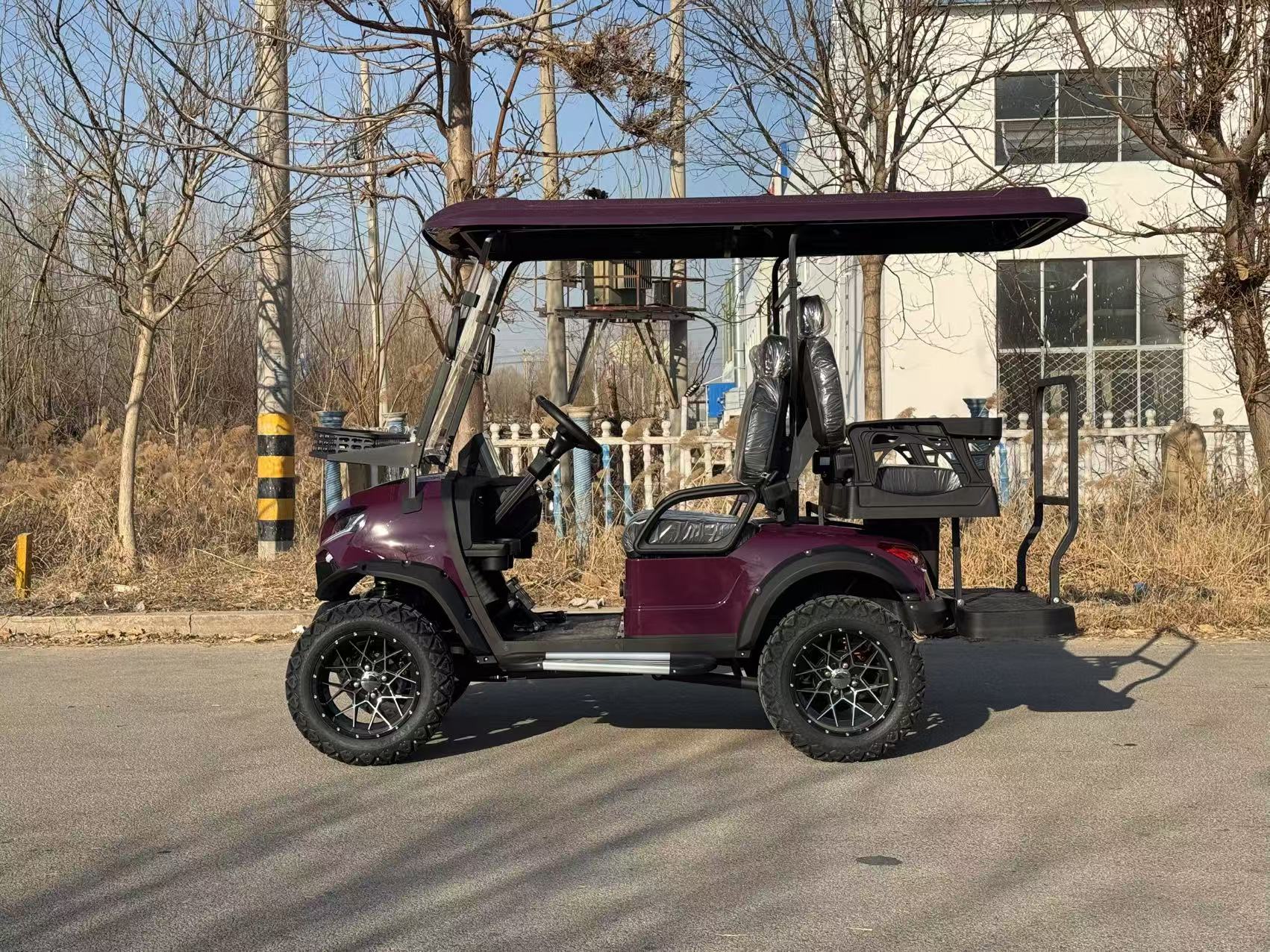 Shandong Factory Price 2 Seat 4 Seater 6 Seat 8 Seat Electric Golf Cart For Sales