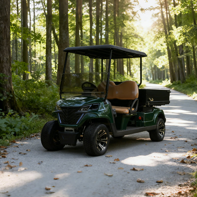 EG Golf Cart Manufacturer Wholesale Electric Club Car Golf Cart
