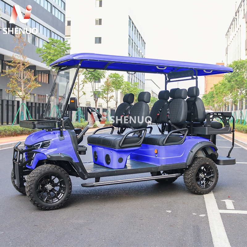 Golf Cart Gasoline 4 Stroke Engine Multi-Power Course Vehicles Resorts Mobility OEM Solution CE/ECE Certified 90km Range 30km/h