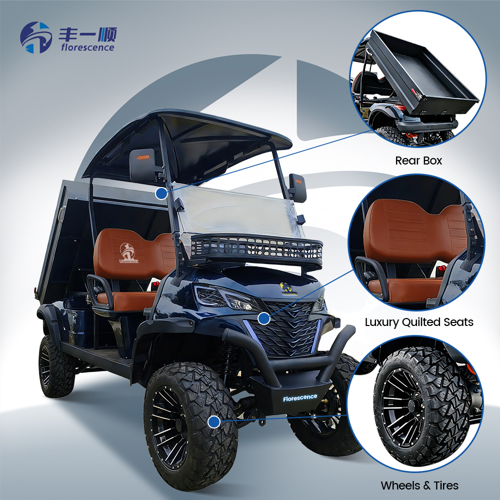 2 Seater Lead-acid Battery Solar Electric Golf Cart Candy Compact Free Shipping With Cargo Boxes