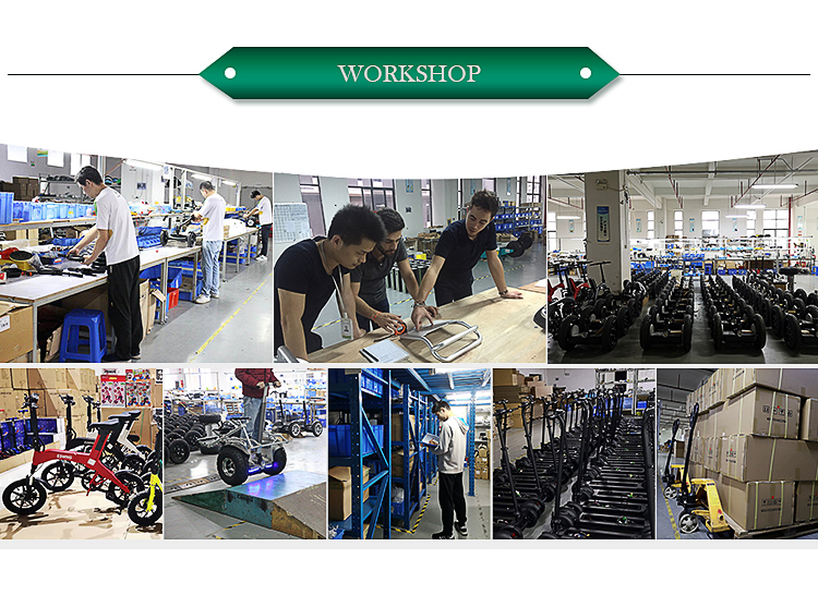 Assembly Process