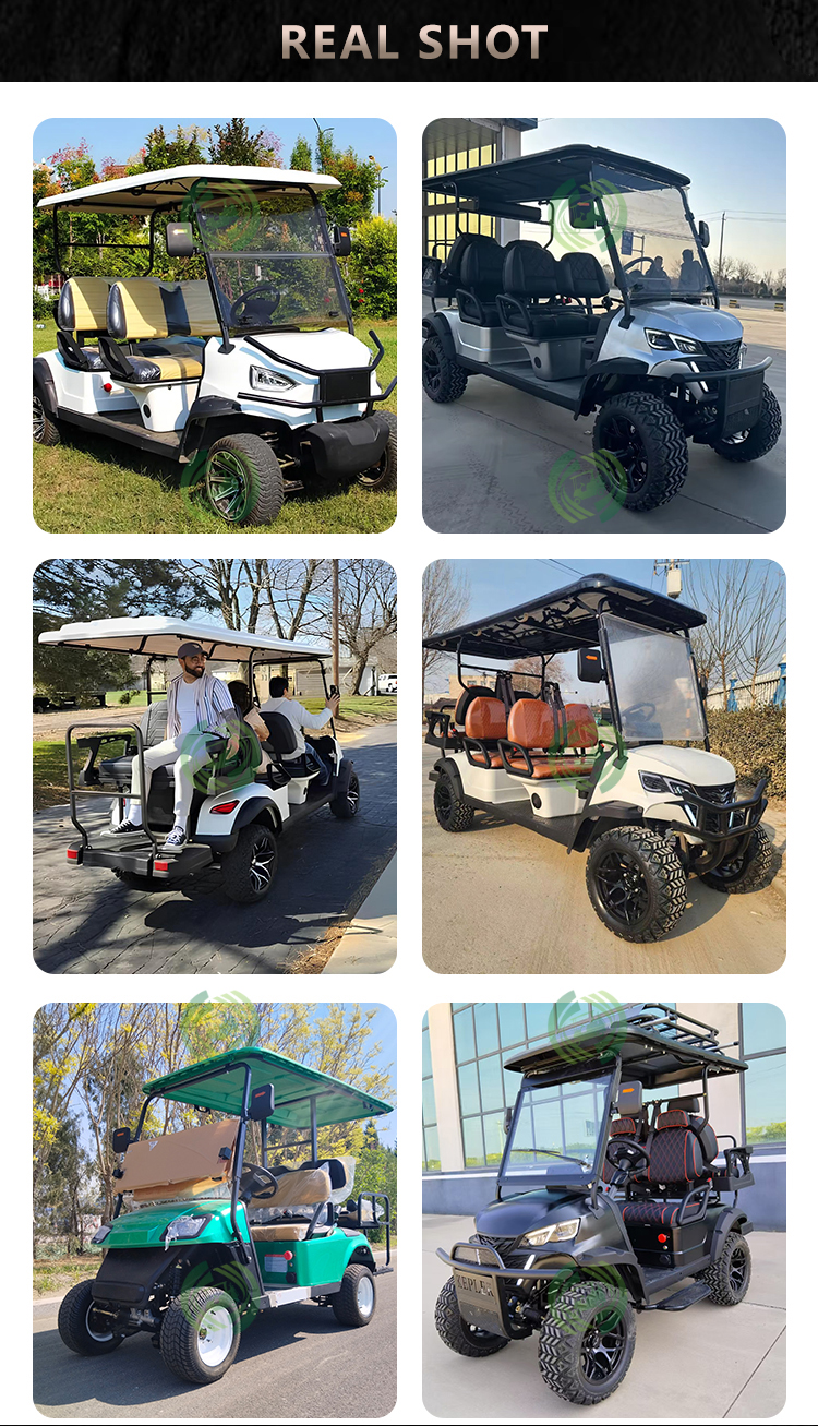 Golf Cart Detail 2