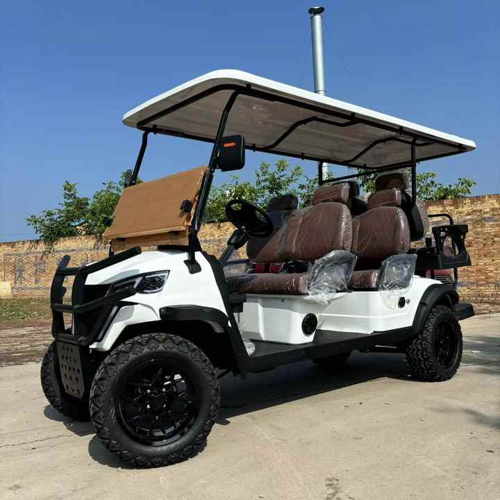 Electric Golf Cart
