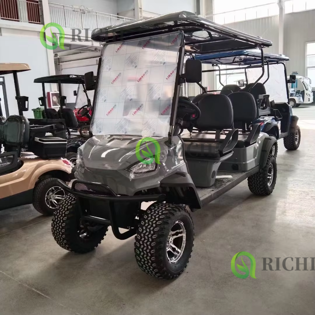 Popular Commercial Sightseeing Vehicle Lithium Electric Golf Cart Golf Buggy for Hotel Vintage Club Car