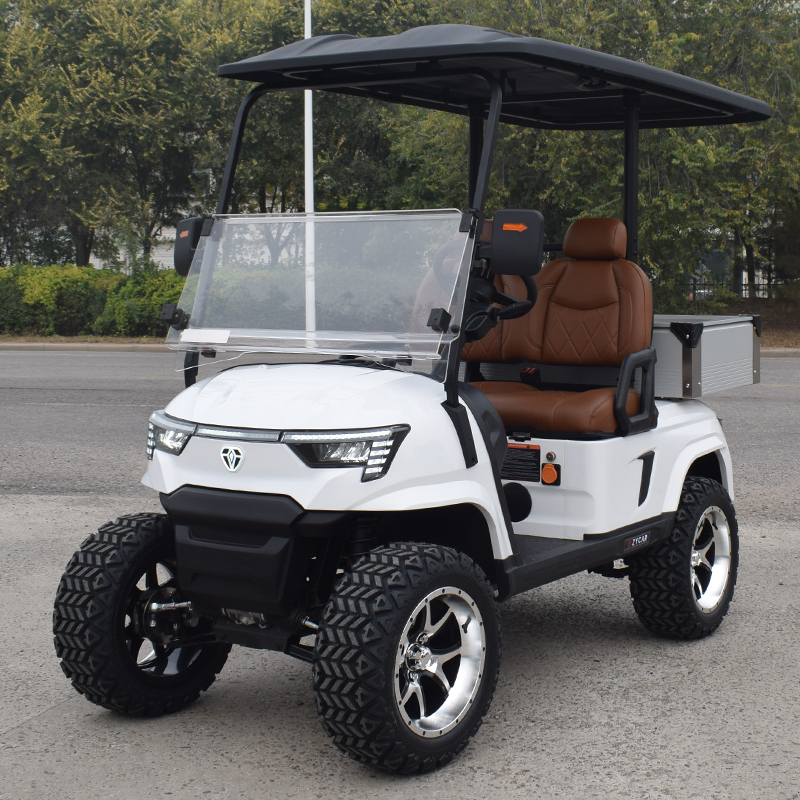 Golf Cart Electric 2 Seater Price Chinese Electric Golf Carts for Sale Passenger Golf Carts