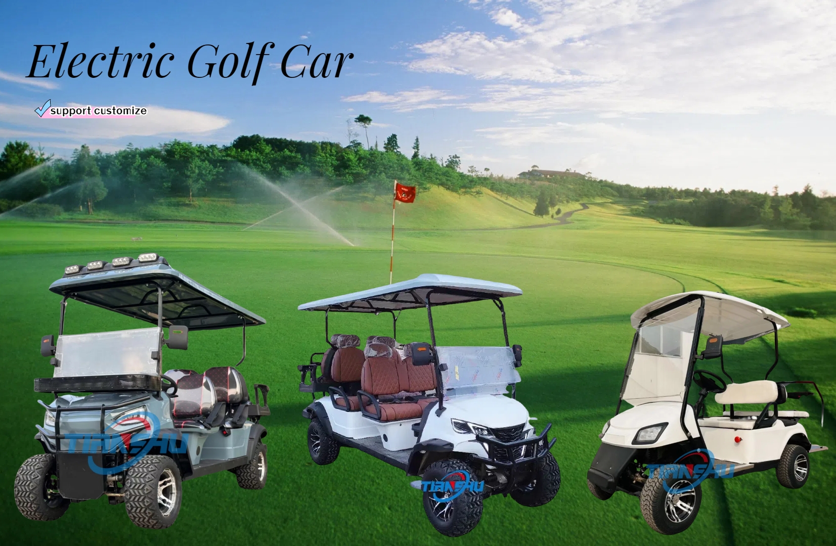 Popular Golf Cart Tourist Sightseeing Car