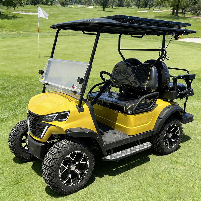 WOLAN Direct Sales 60V-100AH 5KW Strong Power 4 Seater Utility Golf Cart for Campus Airport Patrol