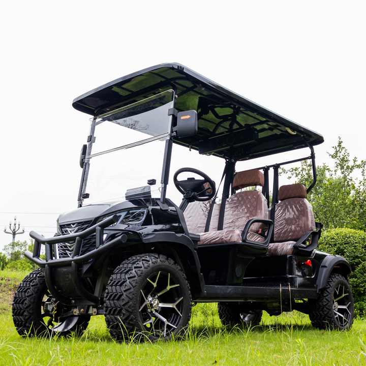 Electric Golf Cart