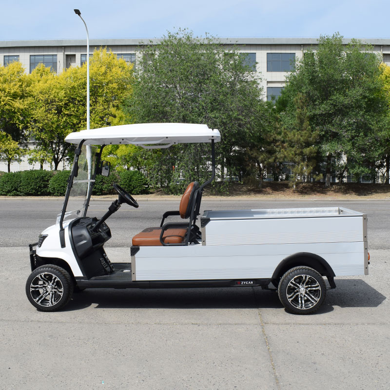 2 Seat Electric Golf Car Hotel 48v Cheap Golf Cart With Cargo Box