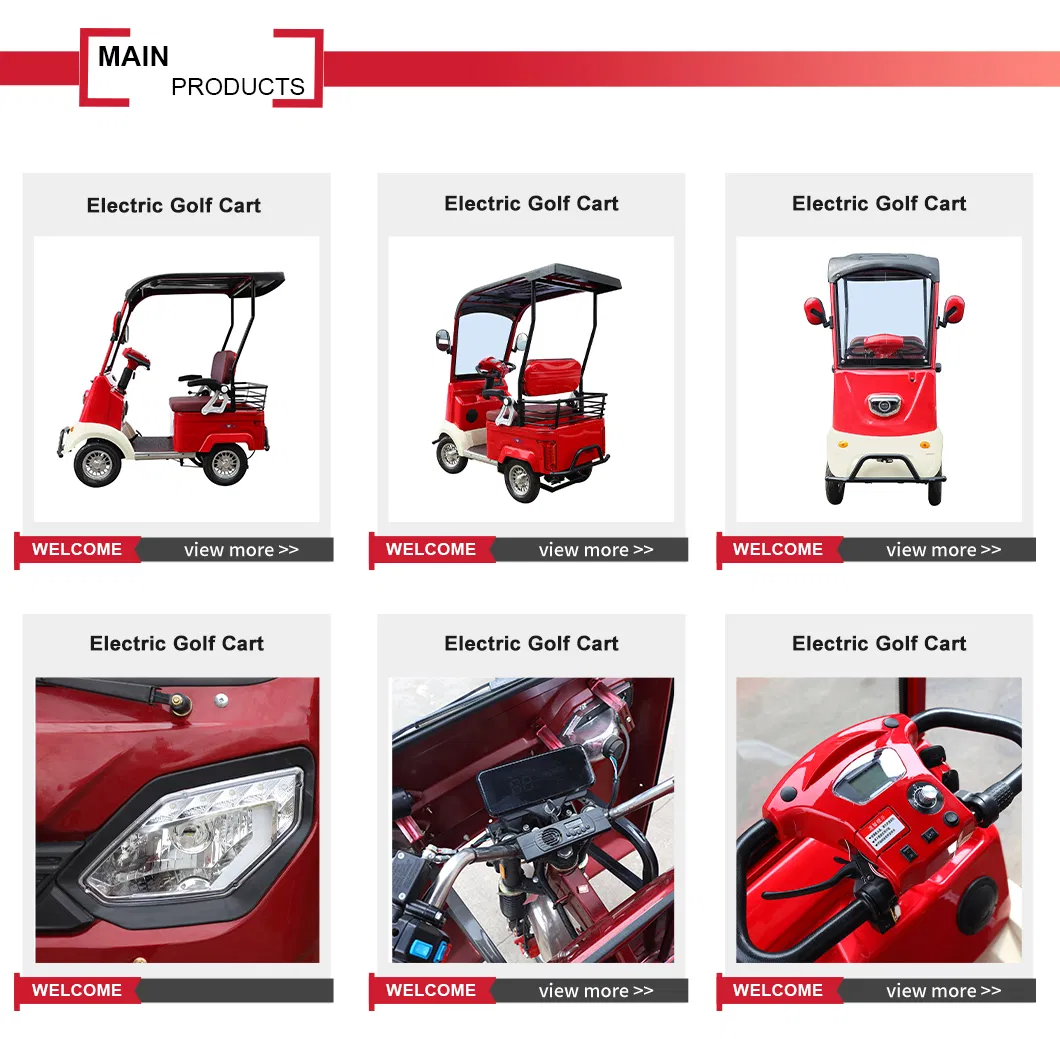 Electric Golf Cart Details