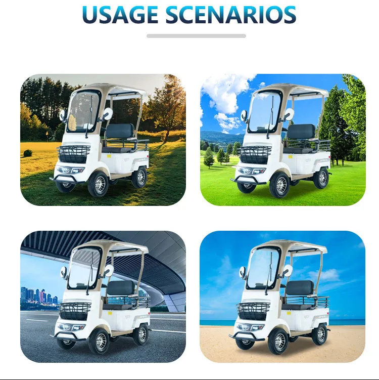 Golf Electric Vehicle 3
