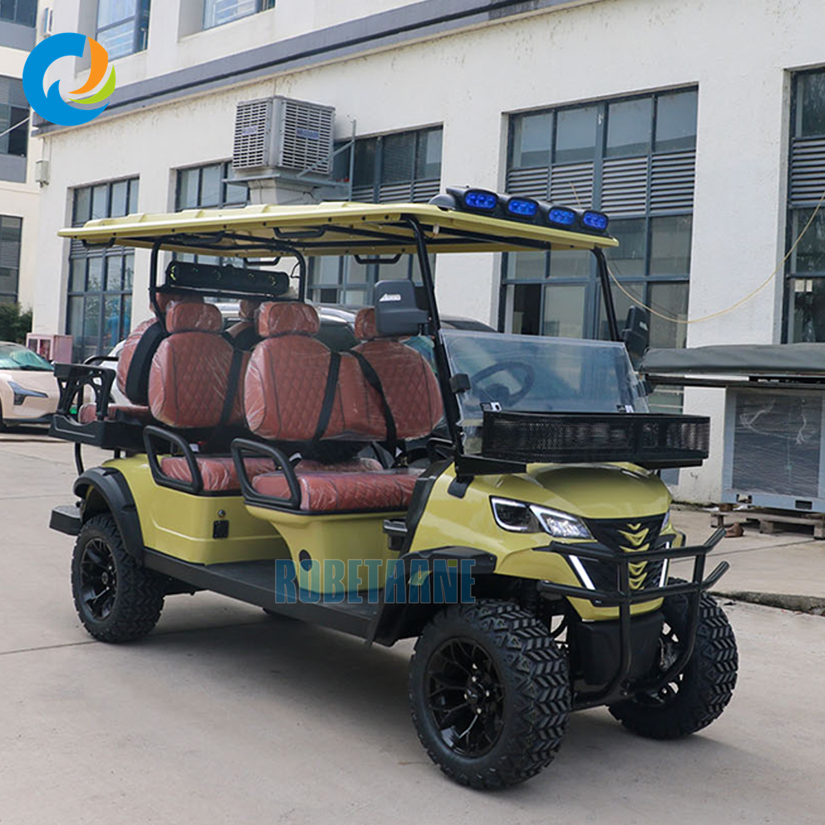 Robetaa Hot Sale 6 Seater Golf Car Battery Power Electric Golf Cart for Resort Use Hotel