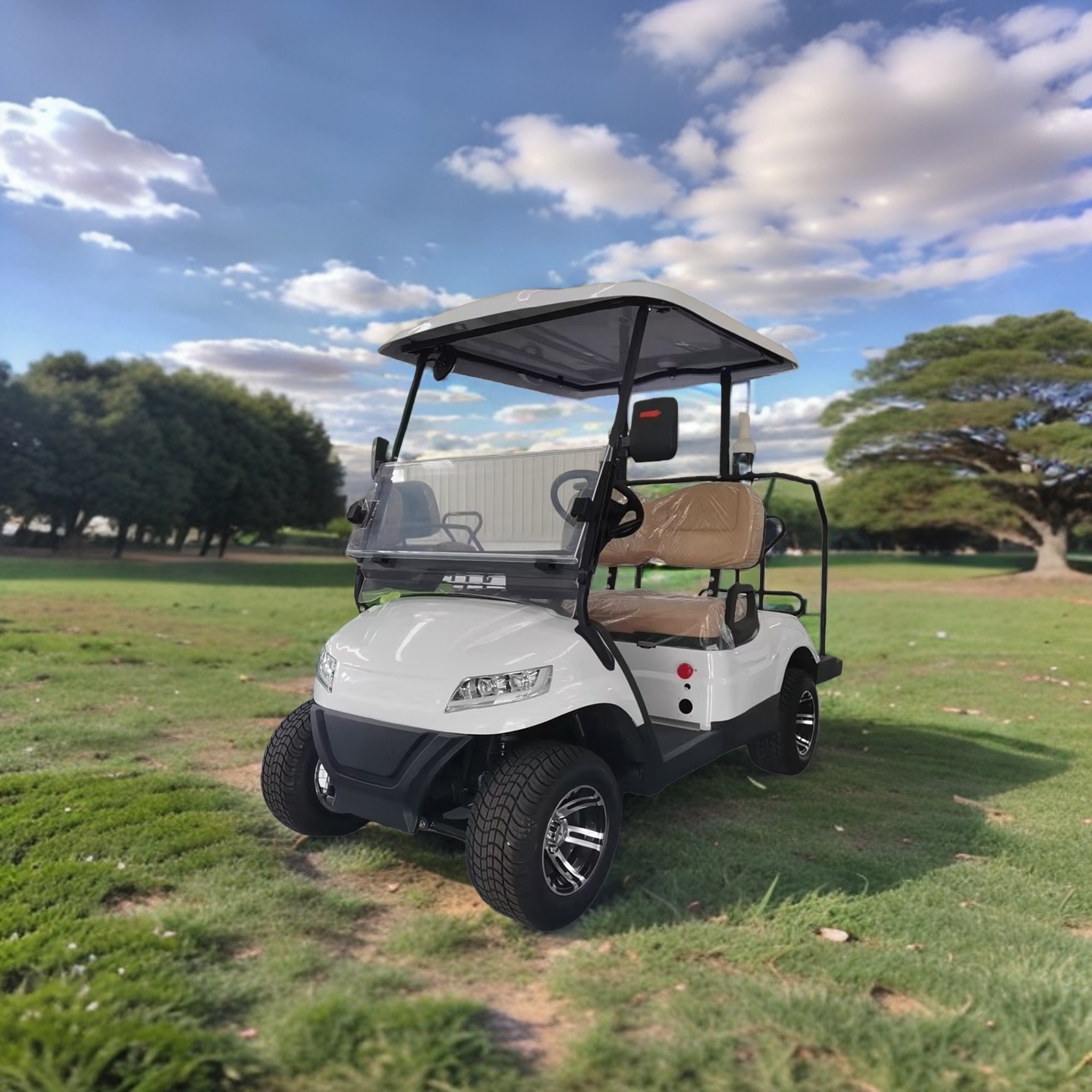 Fast and Intelligent Charging Electric 2-Seater Golf Cart CE Certified Lithium Battery Long Range Low Maintenance Golf Buggy