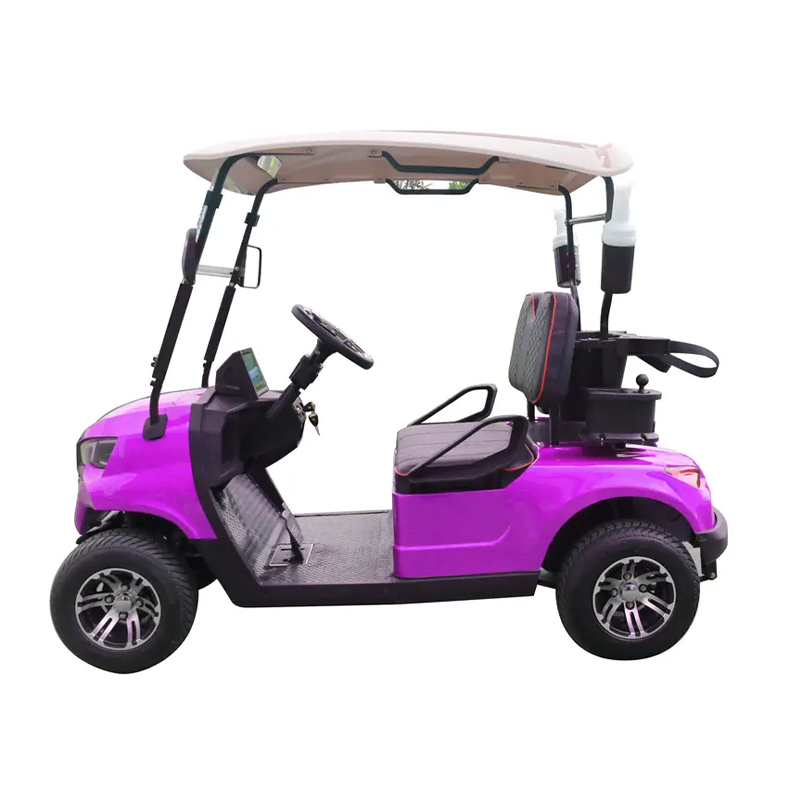 Golf cart front details