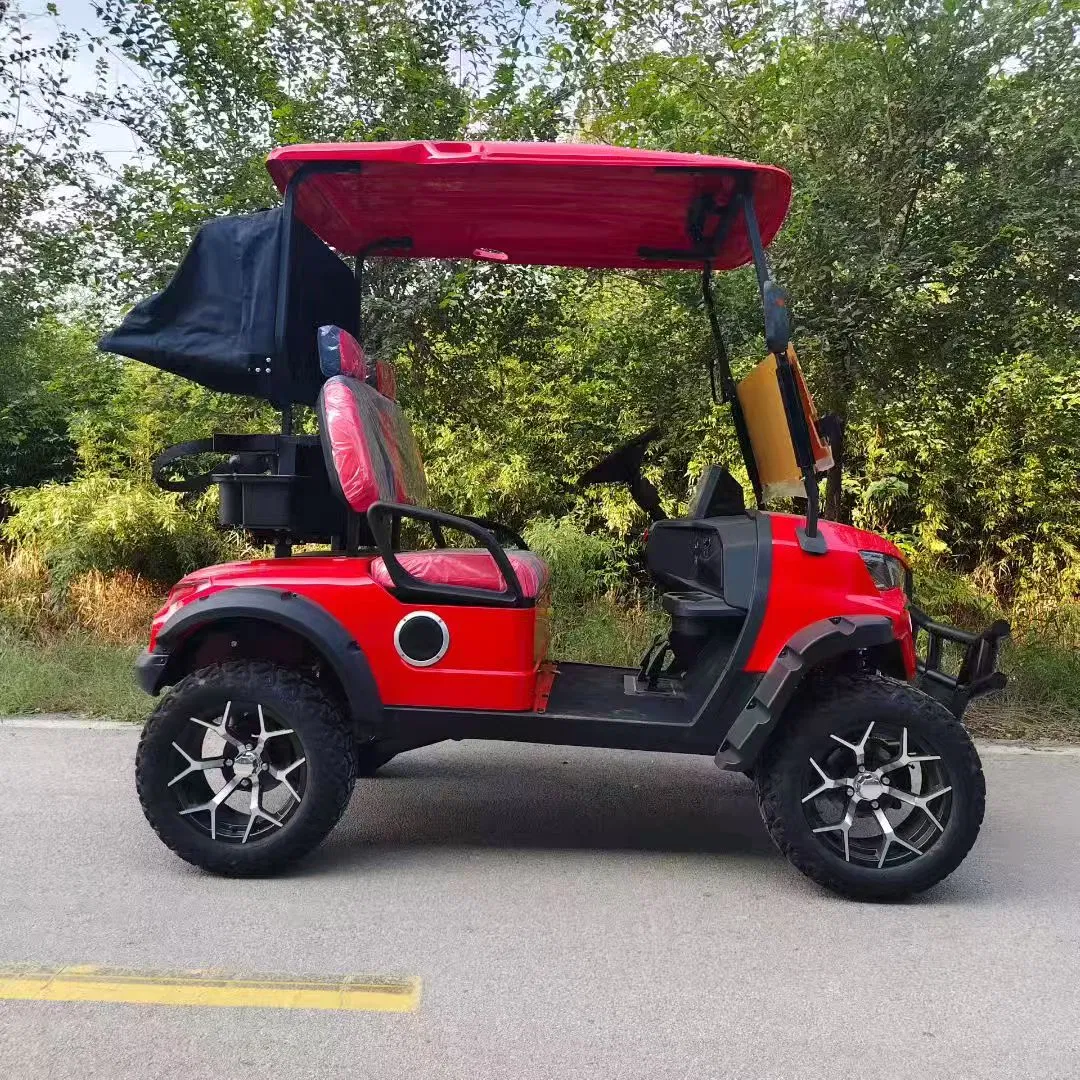 4-Seater Electric Golf Cart Factory Price, 1-Year Warranty, Global Shipping for Community