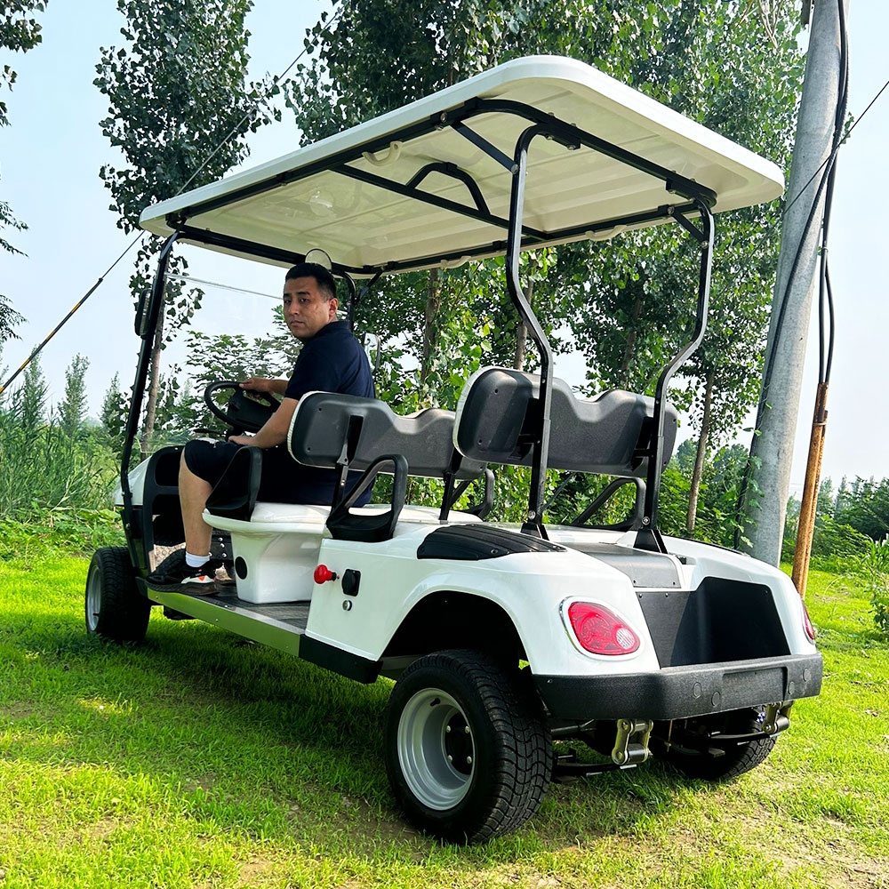 Four Wheel Drive Autonomous Driving Golf Cart Hunting Electric Bike with Powerful 5KW AC Motor Controller Electric Golf Cart