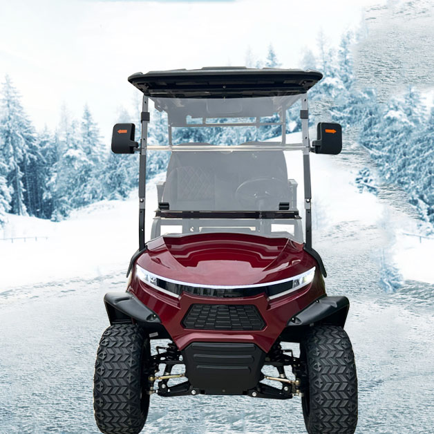 New Design Electric Golf Cart
