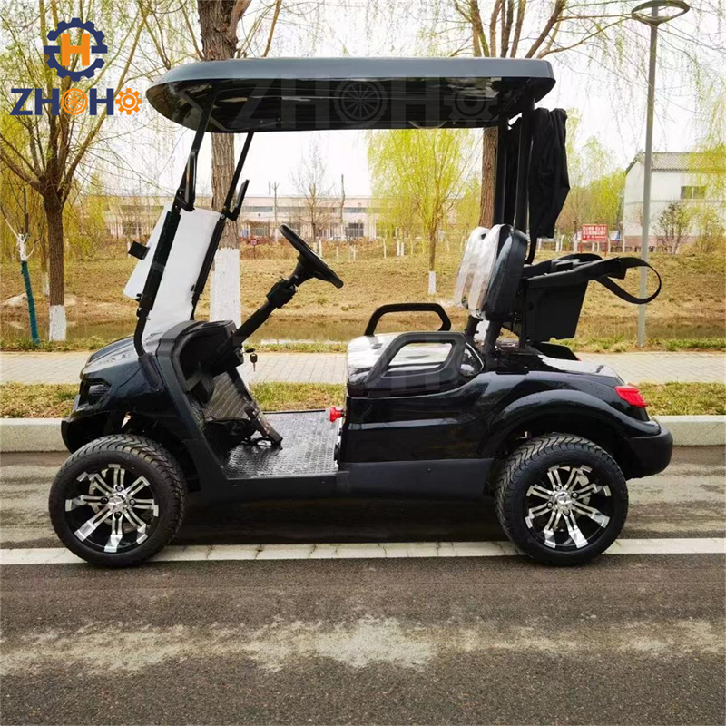 New Hot Sale 2 Seat Electric Golf Cart Mini Club Car Pick up Sightseeing Go Kart