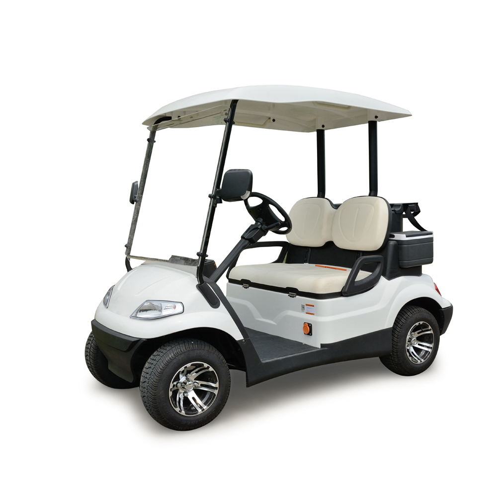 LVTONG 2 Passengers Electric Mini Club Electric Tourist Car Utility Golf Cart Price