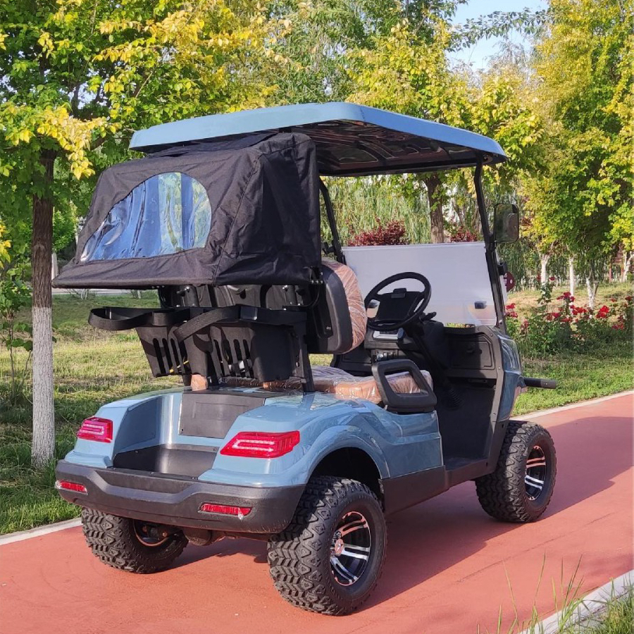 Intelligent Electric Golf Cart Customizable 2 Seat Smart Golf Buggy with Strong Lithium Power Supports Club Car Features