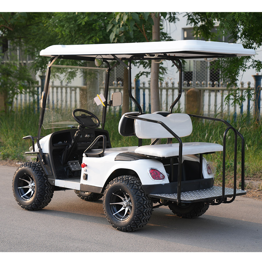 Wholesale 2 Seater Mini Electric Golf Buggy Car Golf Cart for Hotels and Airports