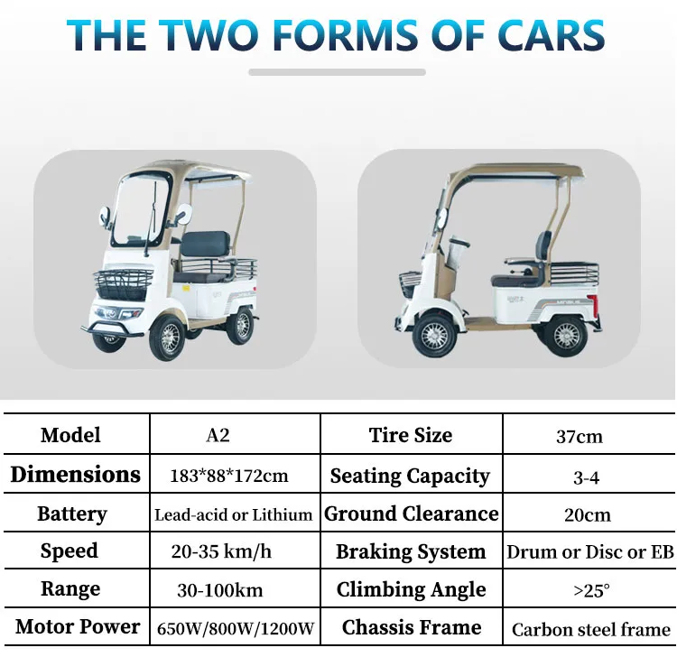 Golf Electric Vehicle 10