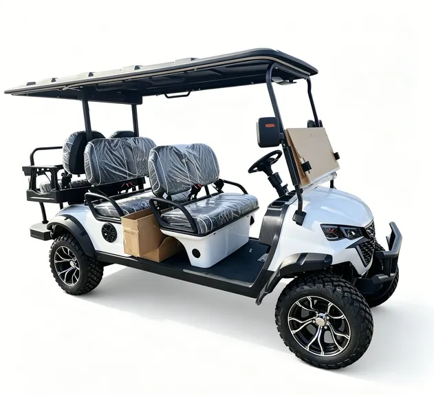 Golf Cart Detail 3