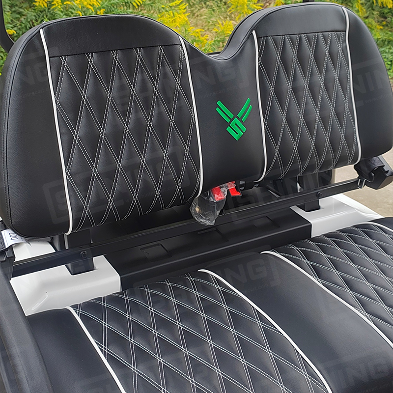 2 Seater 48 Volt Lithium Battery Electric Golf Cart Street Legal Custom Side Boxes CE Certified 50-70Km/h