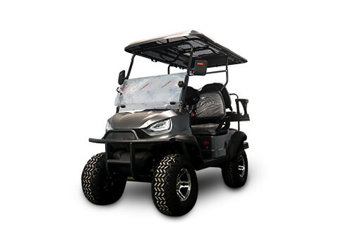 Electric Golf Cart Details View 1